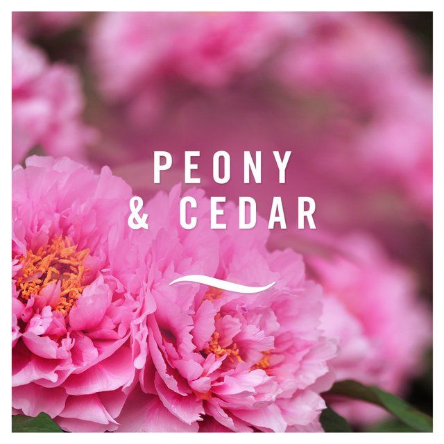 Febreze Peony & Cedar Bathroom