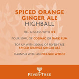 Fever-Tree Light Spiced Orange Ginger Ale 500ml