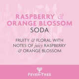 Fever-Tree Raspberry & Orange Blossom Soda 500ml