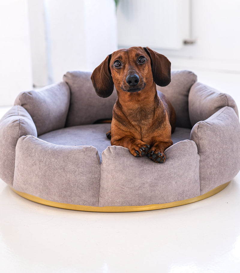 Looty Camelia medium pet bed, UK version