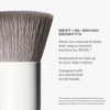 Morphe 6-Piece Travel Brush Set Silver Ion-Infused, imported from the UK