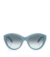 Harrods Jimmy Choo Acetate JC5007 Sunglasses- Buy online at McGrocer