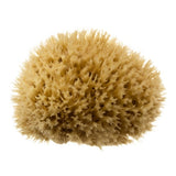 Superdrug Hydrea London Mediterranean Honeycomb Sea Sponge Bathing Sponge 4-4.5 inch- Buy online at McGrocer
