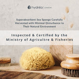 Hydrea London Mediterranean Sea Sponge Bath 4-4.5 inch, UK version