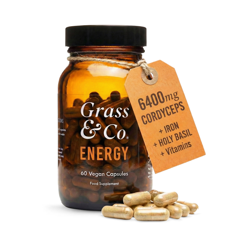 Grass & Co ENERGY Cordyceps mushroom supplement 60 capsules, imported from the UK