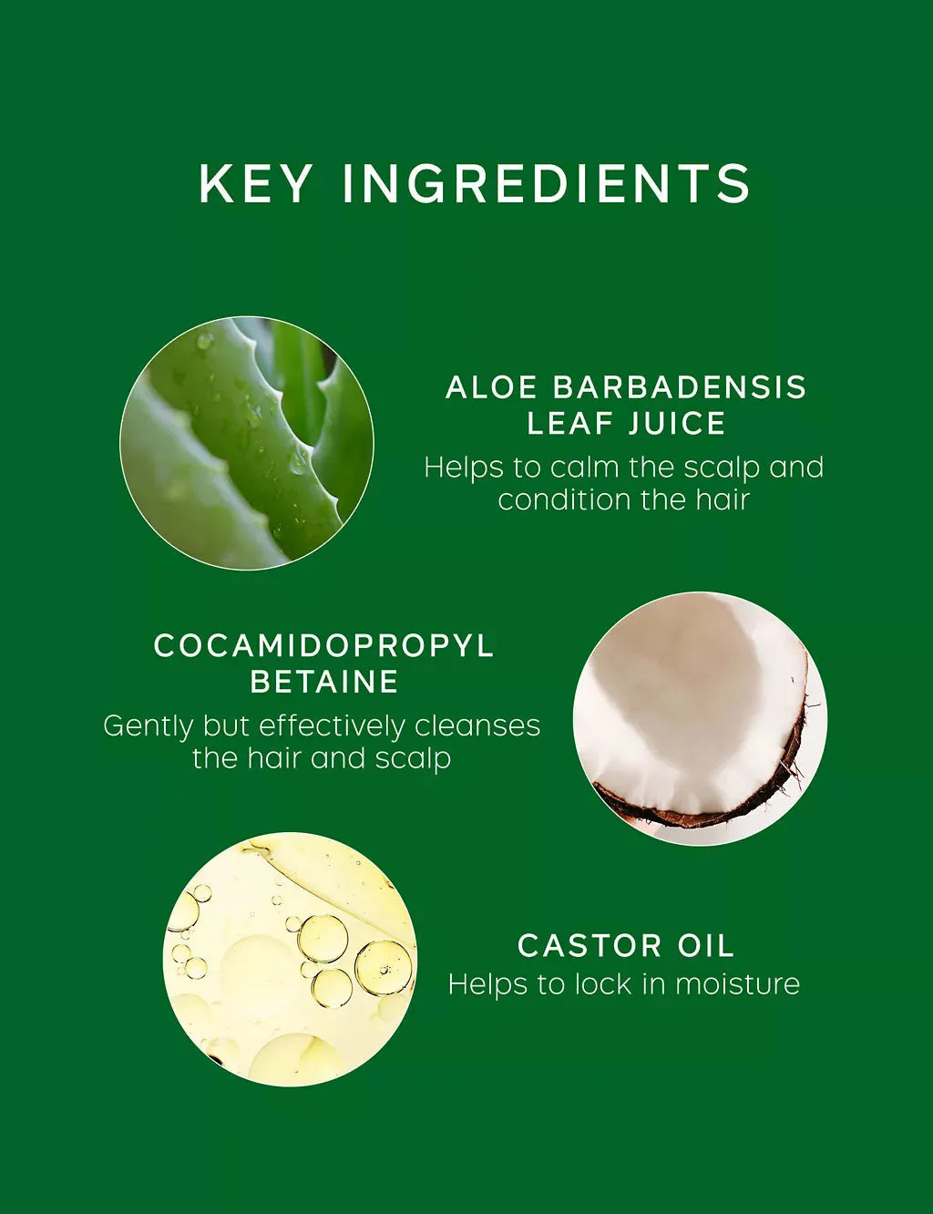 Flaky Itchy Scalp Shampoo 75ml