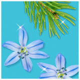 Flash Spray Wipe Done Shower Cleaning Spray 800ml