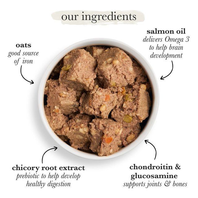 Forthglade Complete Puppy Whole Grain Duck with Oats & Veg 395g