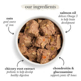 Forthglade Complete Puppy Whole Grain Duck with Oats & Veg 395g