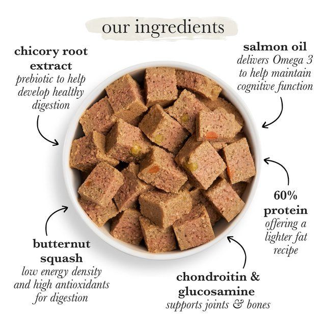 Forthglade Complete Senior Grain Free Turkey with Butternut Squash & Veg 395g