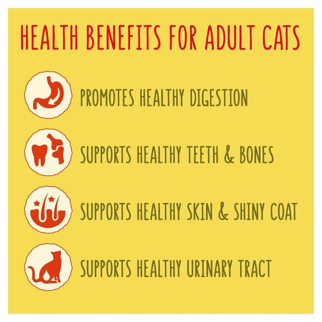 Go-Cat Chicken and Turkey Dry Cat Food 320g