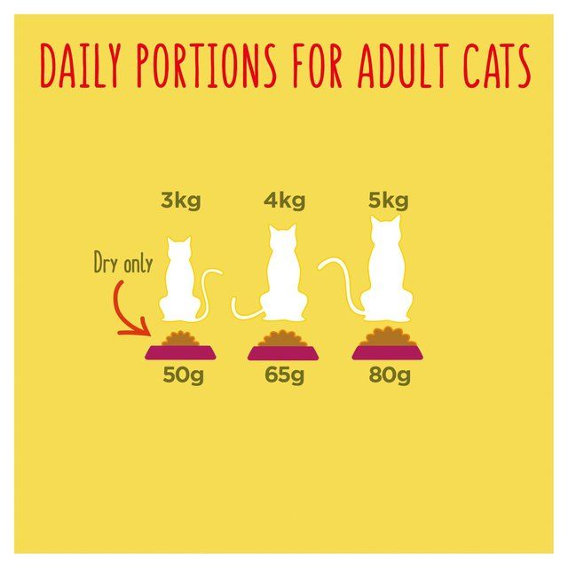 Go-Cat Chicken and Turkey Dry Cat Food 320g