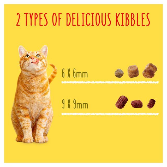 Go-Cat Crunchy & Tender Salmon and Tuna Dry Cat Food 900g