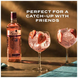 Gordon's Premium Pink Distilled Flavoured Gin 1L