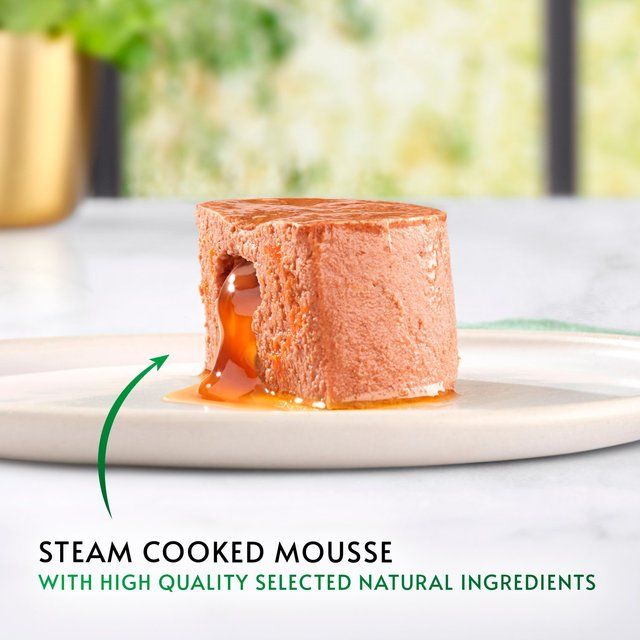 Gourmet Nature's Creations Gravy Heart Chicken Ocean Fish Wet Cat Food 8 x 85g