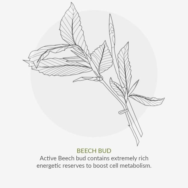 Green People Brightening Moisturiser Age Defy+ By Cha Vohtz Vegan 30ml