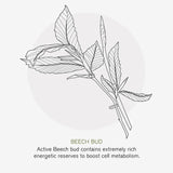 Green People Daily SPF30 Moisturiser Age Defy+ by Cha Vohtz 30ml