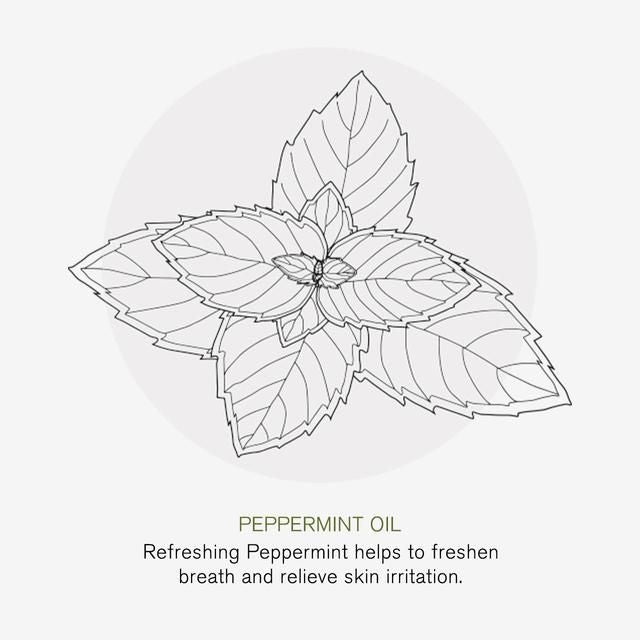 Green People Fresh Mint & Aloe Vera Fluoride Toothpaste 75ml