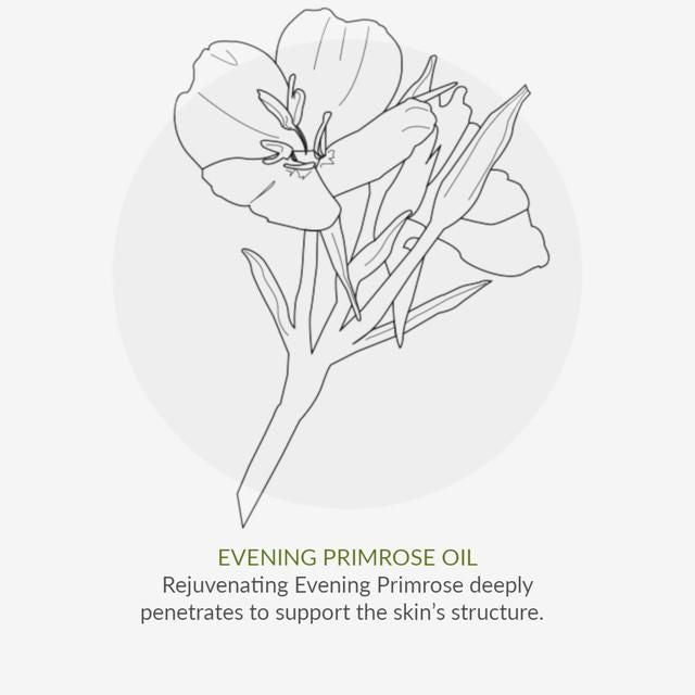 Green People Organic Facial Oil Cell Enrich Age Defy+ by Cha Vohtz Vegan 30ml