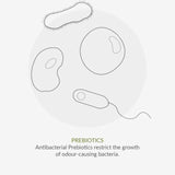 Green People Organic Men's Roll On Deodorant Thyme & Prebiotics Vegan 75ml