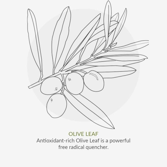 Green People Organic Toothpaste Peppermint & Aloe Vera Vegan   50ml