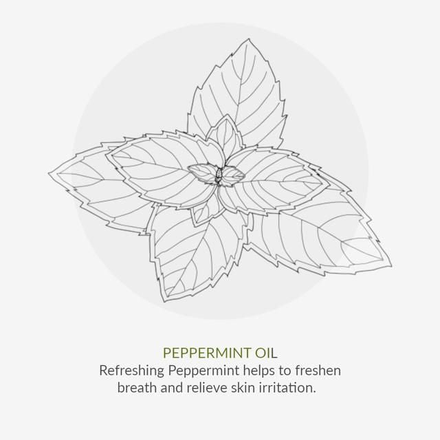 Green People Organic Toothpaste Peppermint & Aloe Vera Vegan   50ml