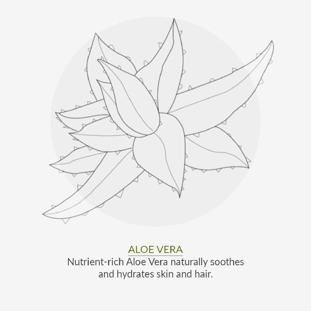 Green People Scent Free 24-Hour Cream 50ml