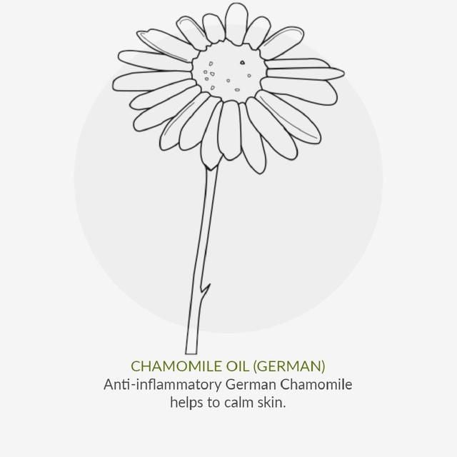 Green People Scent Free Day Moisturiser 50ml