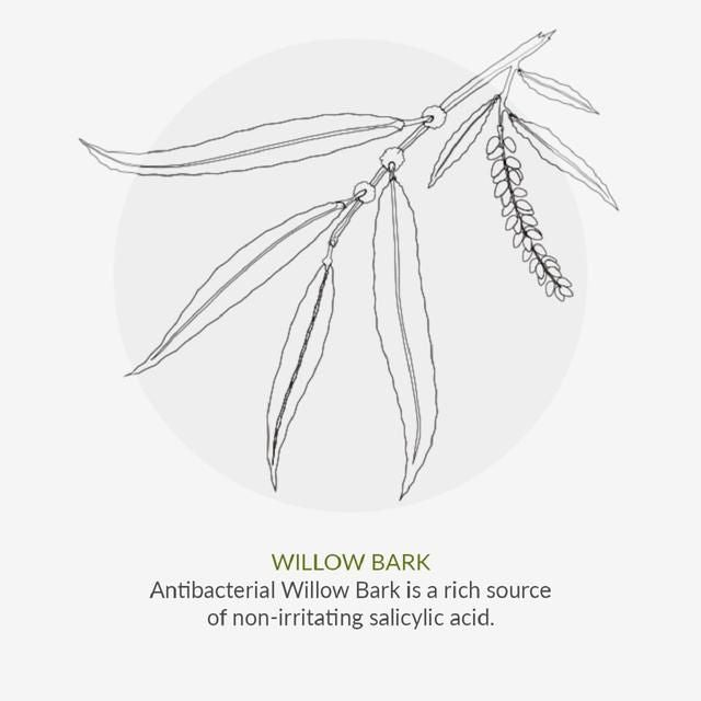 Green People Scent Free Day Moisturiser 50ml