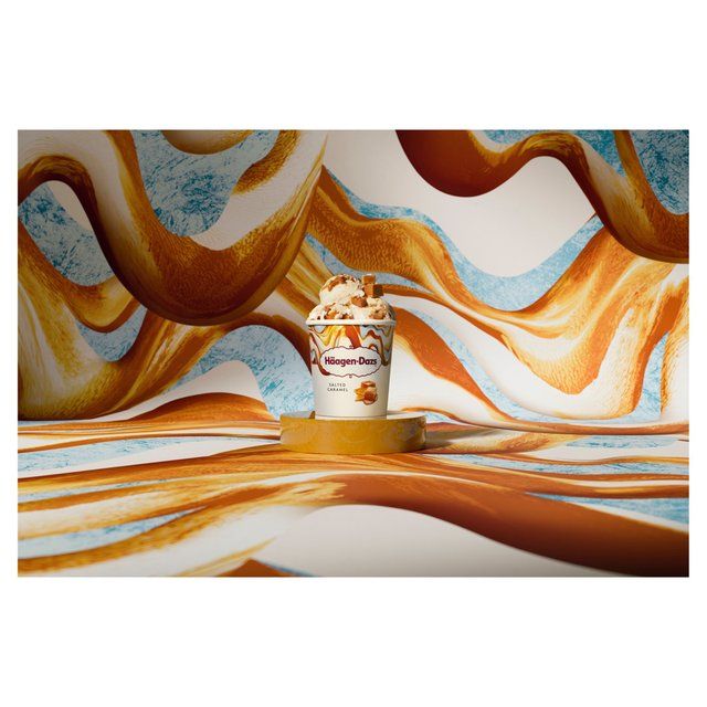 Haagen-Dazs Salted Caramel Ice Cream 460ml
