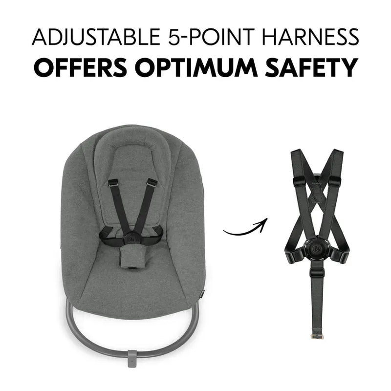 Hauck Alpha Bouncer Premium in Dark Grey - British product