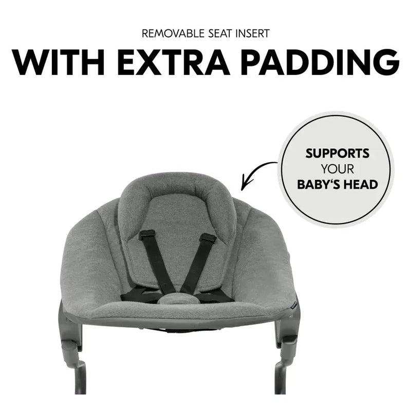 Hauck Alpha Bouncer Premium in Dark Grey - British product