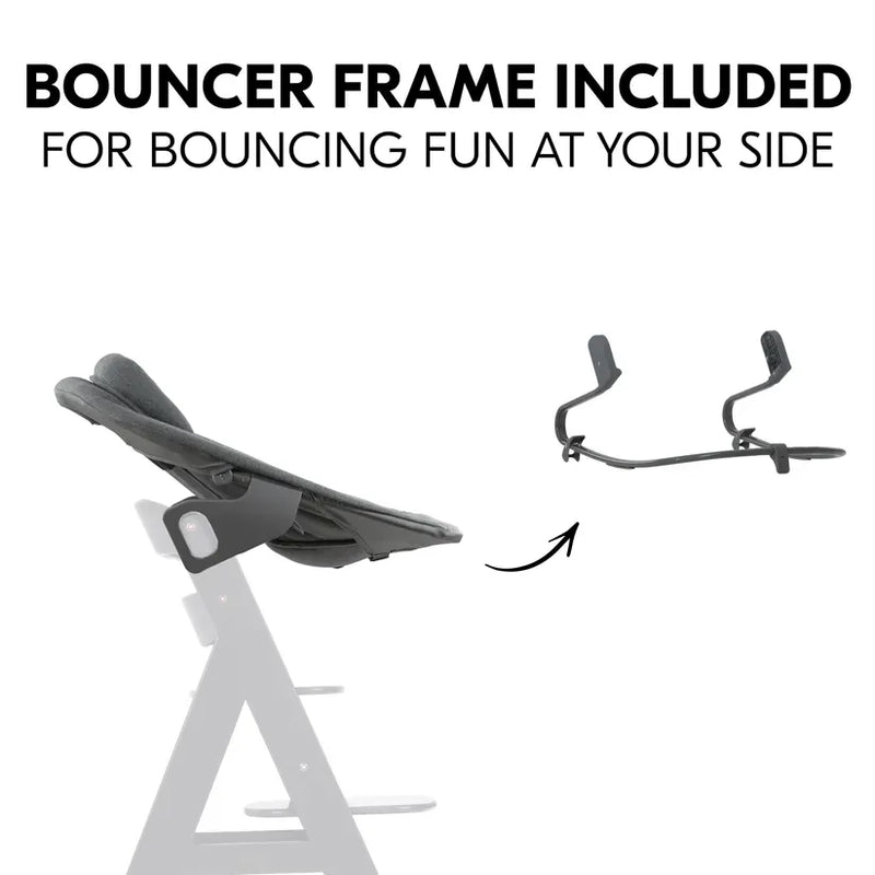 Hauck Alpha Bouncer Premium in Dark Grey - British product