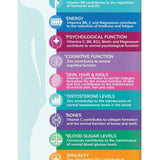 Health & Her Menopause Multi-nutrient Support Supplement Capsules    60 per pack