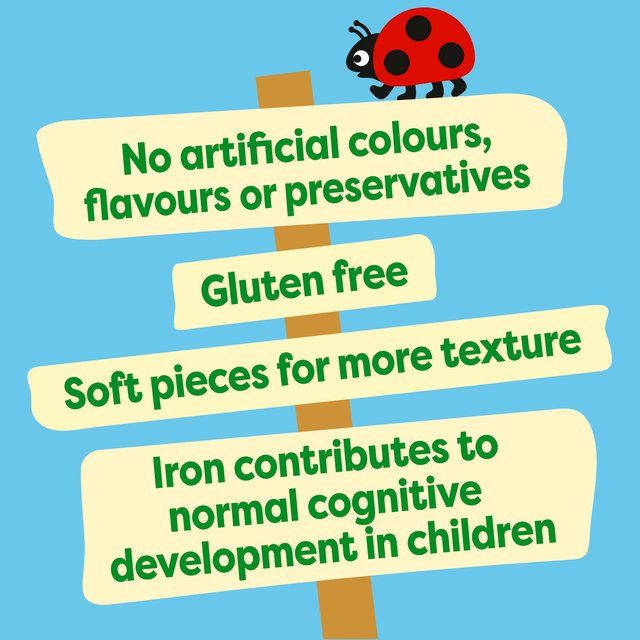 Heinz 7+ Months First Steps Summer Fruit Porridge 220g