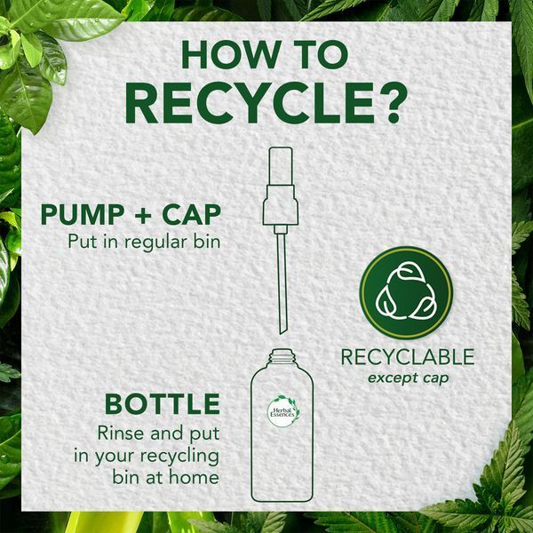 Herbal Essences Sulfate Free Hair Oil, Hemp & Aloe, 100ml