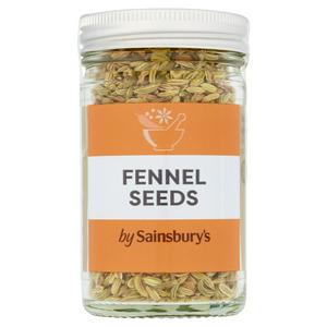 Sainsbury's Fenchelsamen Gewürzglas 34g (Britische Marke)
