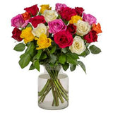 Sainsbury's rainbow roses fresh cut flowers (British brand)