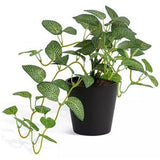 Sainsburys Habitat Artificial Topiary Plant Natural Medium- Buy online at McGrocer