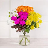 Sainsbury's Dyed Chrysanthemums - British Flowers Online - McGrocer