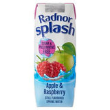 Sainsburys Radnor Splash Apple and Raspberry Still Flavoured Spring Water 250ml- Buy online at McGrocer