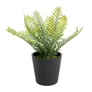 Habitat Artificial Green Fern Plant Black Pot 18cm