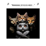 Sainsburys Greeting Card Birthday Humour Cats Mammaaaaaa Design 16.3cm Square- Buy online at McGrocer