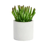 Sainsburys Sainsbury's Home Artificial Crassula Succulent Cement Pot 8.9cm- Buy online at McGrocer