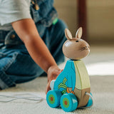 REMOVE Peter Rabbit Pull Along