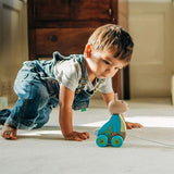 REMOVE Peter Rabbit Pull Along