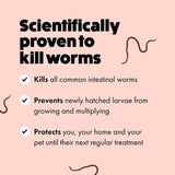 Itch Wormer Tablets For Cats (1kg +) 2 per pack