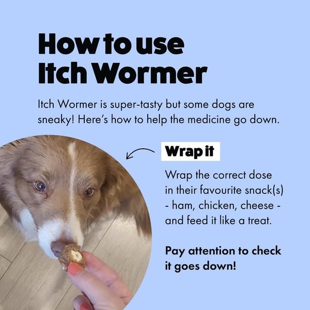 Itch Wormer Tablets For Dogs (3-20kg) 2 per pack