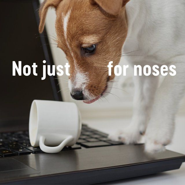 Kleenex The Original Facial Tissues - Twin Box 2 x 64 per pack