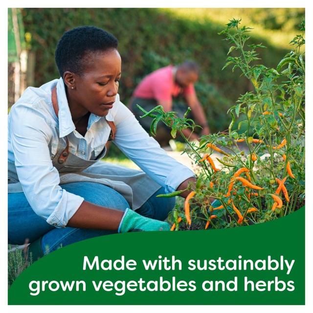 Knorr 4 Organic Chicken Stock Pot   104g